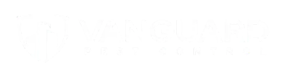 Vanguard