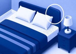 Bed bug fecal spots signalling the need for bed bugs extermination in Edmonton